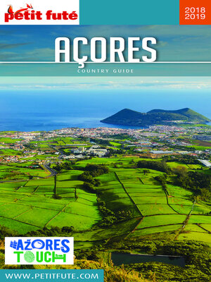 cover image of Açores 2018/2019 Petit Futé